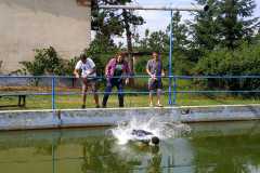 Image00006