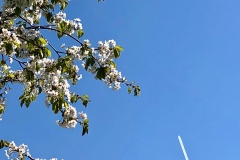 IMG-20180825-WA0070