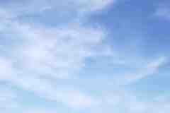 Image00033