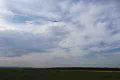 Image00034