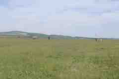 Image00039