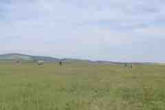 Image00040