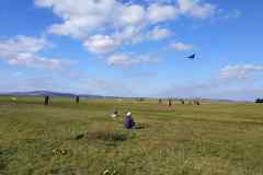 Image00034