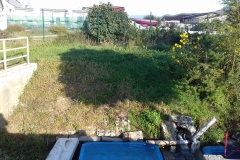 20180929_163559_resized